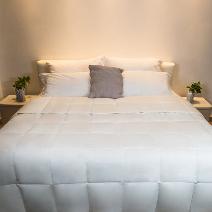 Inserto de Duvet de Pluma de Ganso Natural 95/5